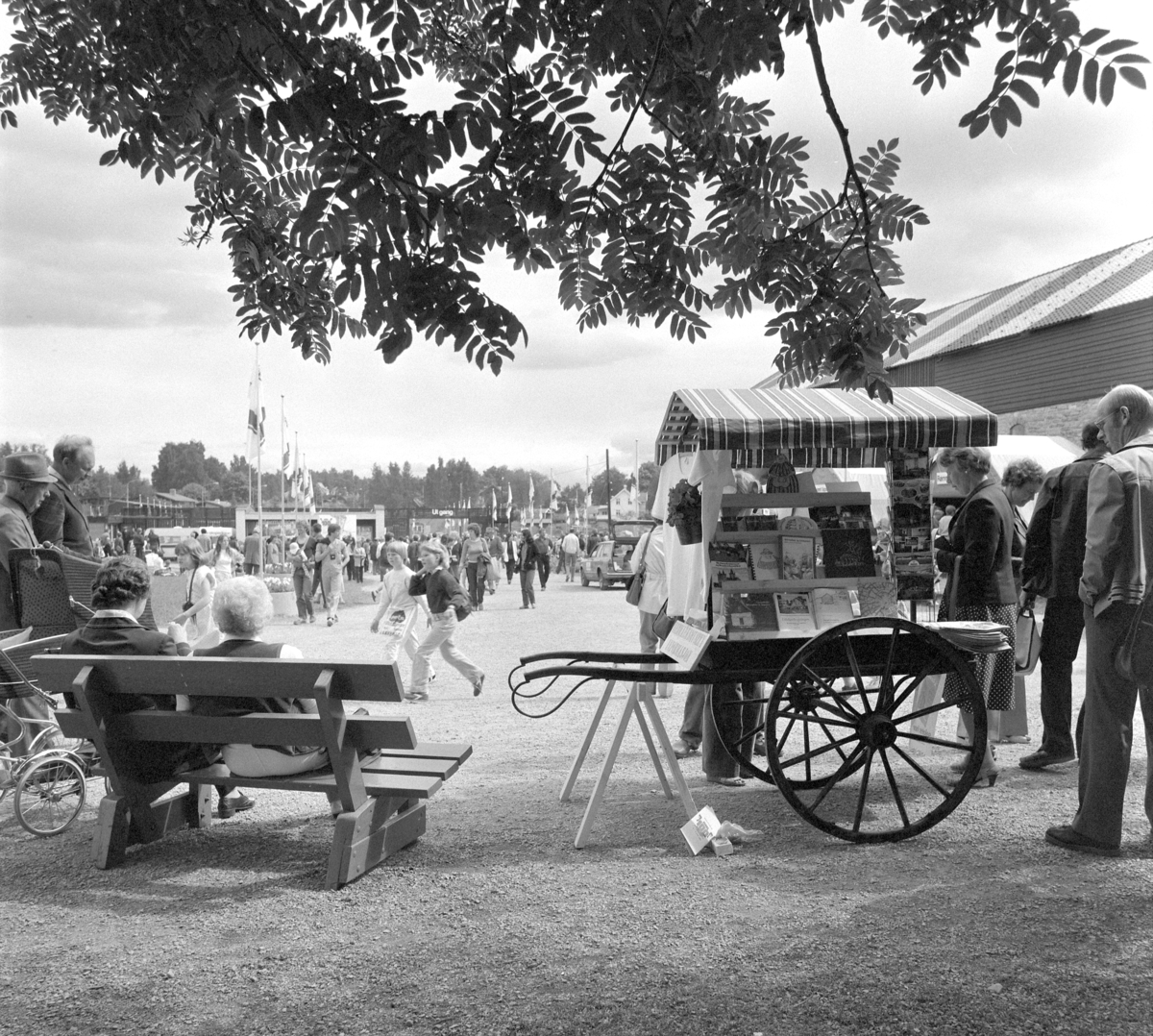 Norske Melkeprodusenters Landsforbund, NML 100 år 1881-1981.Jubileumsdager,utstilling,Domkirkeodden,Hamar.
