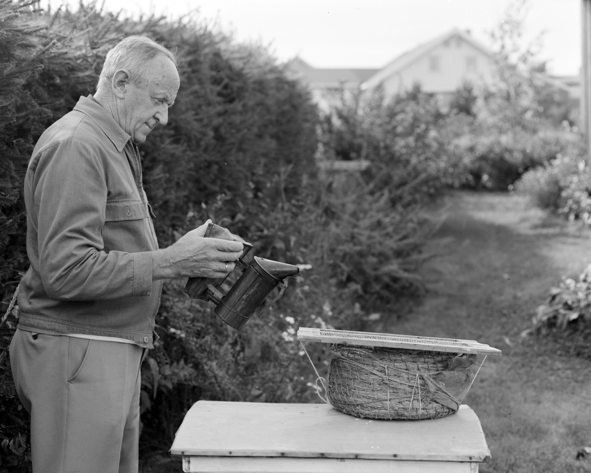 Birøkter Jørgen Haug, Nes H.