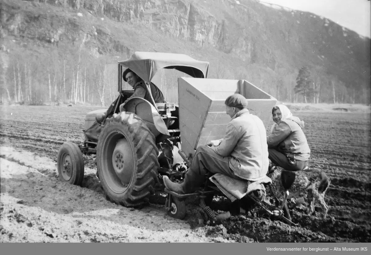 Potetsetting med traktor. En mann i traktoren og to mennesker bakpå. En hund følger etter.