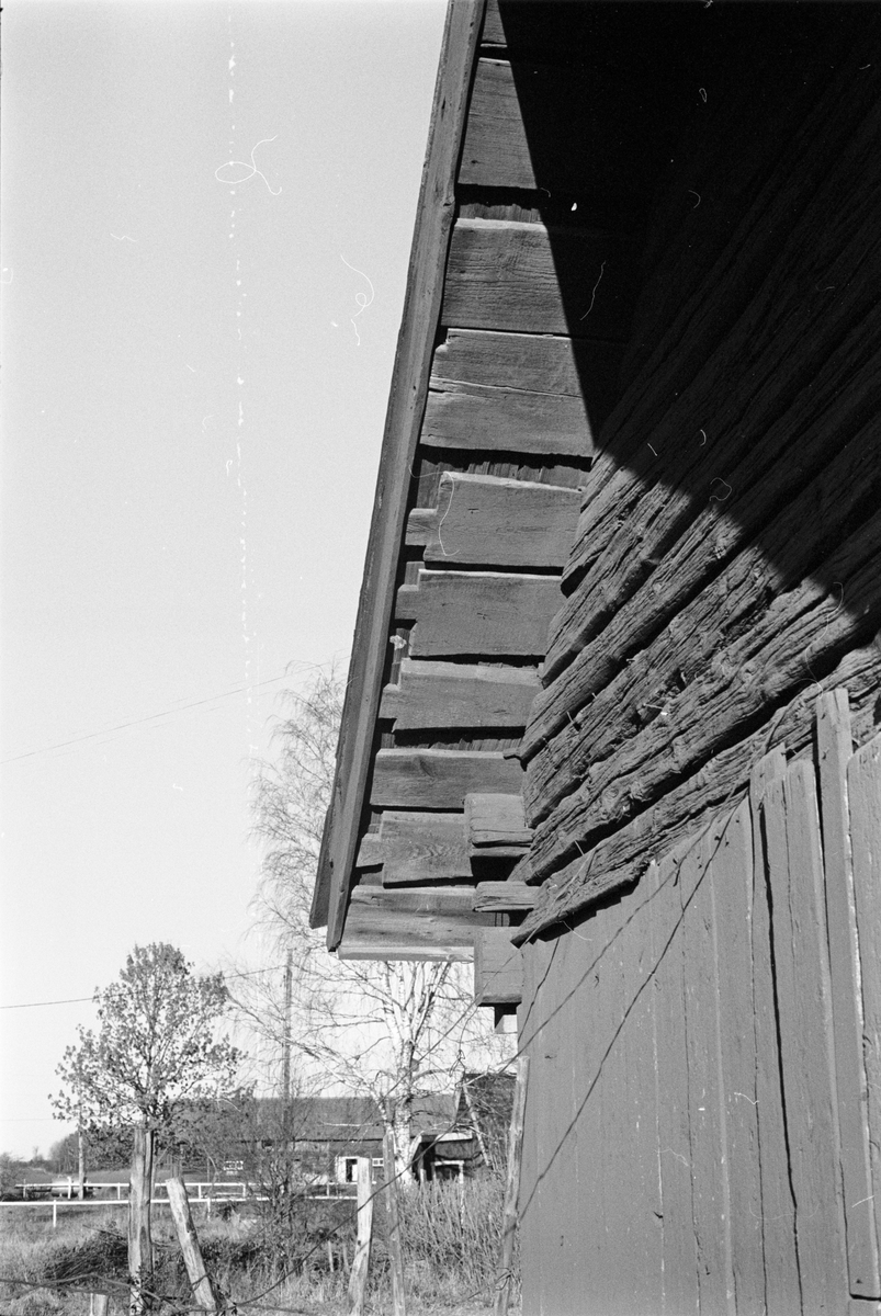 Takdetalj på bod, Tjälinge 7:1, Skogs-Tibble socken, Uppland 1985