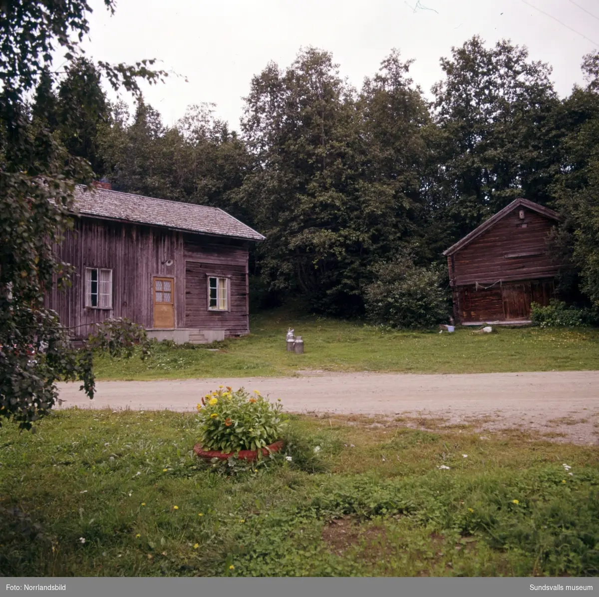 Gamla torp och ödegårdar fotograferade till ett reportage i veckotidningen Husmodern. Okända adresser och datum, men troligen från Medelpad och Ångermanland.