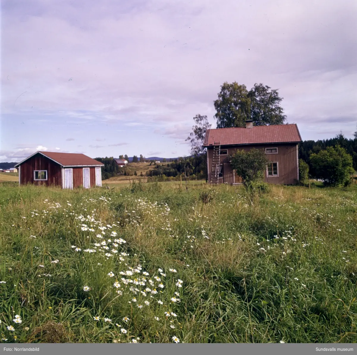 Gamla torp och ödegårdar fotograferade till ett reportage i veckotidningen Husmodern. Okända adresser och datum, men troligen från Medelpad och Ångermanland.