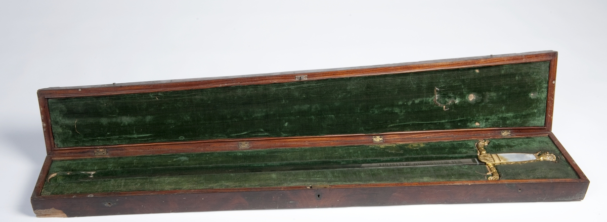 En kårde m/slire.  Dragehode som parerplate, krummet.  Gallakårde efter kaptein Palle Rømer Fleischer, perlemors håndtak 1ste repr for norsk jegerkorps.  Stål m/messingbeslag.  Sliren i skinn med messingbeslag, løvemerke.  Skjeftet m/visirhode.