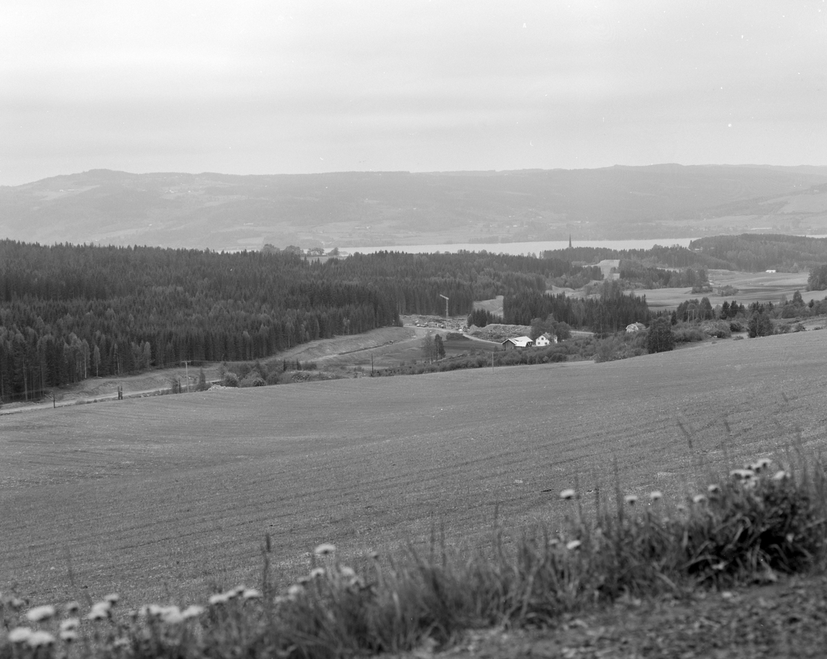 SKYBERG GÅRD, RINGSAKER, UTSIKT.  Landskap Hedmarken.