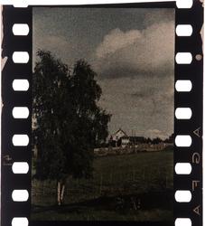 Harald  Renbjørs bilder i Agfa kornraster.