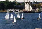 Segelbåtar vid kungsbron.