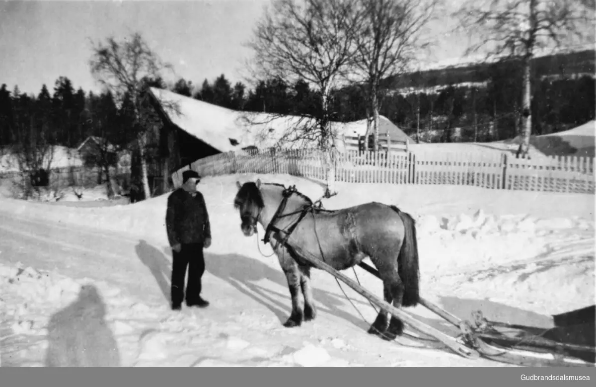 Mann med hest og slede ved Sørsletten-saga, transport av?, det er vinter. 