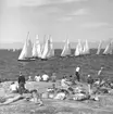 Kappsegling på Marstrandsfjorden med 5.5-metersjakter 1960