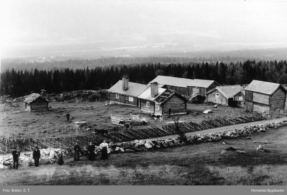 Garden Båste, 54.4., i Hemsedal, ca. 1904.