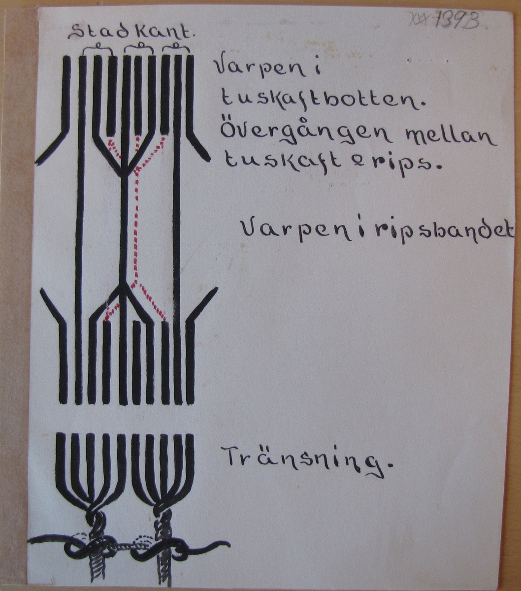 01 393: Koptiskt tyg (fragment) Linne tuskaft med ripsband i ylle. Trådtäthet: Varpledd?

Tuskaft: 43 tr/ 2 cm. Rips: 11 varpgrupper/ 2 cm. Inslagsledd? 35 tr/ 2 cm omkr. 95 tr/ 2 cm.

Teknik: Fragmentet är av en vävnad  i tuskaft  med en rektangel och 2 band i ripsliknande teknik. I fragmentets högra kant  finns en sammanhängande stad 42 cm. I nedre kanten finns en frans omkr. 7 cm , som spänts mellan tyget och en smal remsa 1,5 cm grovt förkastad. Fransen är tränsad mot tyget. 8 mm. Ovanför fransen är 2 färdiga ullgarnsinslag. 11 cm från dessa är 3 ripsband invävda, se teckningen, som finns tillsammans med föremålet. Dock är staden annorlunda. På ung. 3 cm. har vävaren lämnat 3 i st.f. 2 tr. och rispen är här arbetad över 7 tr. Nr. 1 går tvärs igenom ripsen 2, 4, 6, är tagna till en varpgrupp och 3, 5, 7, går lösa på baksidan av tyget. Mellan ripsränderna är 1 cm tuskaft 7,5 cm från ränderna är en ripsrektangel 11,5 cm: 17,5 cm. Alla trådarna har använts. Mitt på kortsidorna är linne invävt 9 inslag: 3,5 cm. Ripsrutans stadkant och tygets stadkant är kastade tillsammans, även där ripsen är vävd med linne. Grupper av grövre trådar är invävda på regelbundna avstånd. På flera ställen är stycken av vävnaden bortfallna och förslitningar och bristningar förekommer. Diagrammet till tränsningen omarbetat efter Braulik: Altägypt. Gewebe. sid 37 fig 82. Diagrammet till ripsbandet utarbetat vid museet. Lin Enligt Linde stycke av ett gravkläde från tiden omkring Kr födelse. No. 1392 m.fl. tillhör då samma stycke eller åtminstone typ. 

2014-05-23 Enligt forskare Maciej Szymaszek är detta troligen ett fragment av en mantel från södra Egypten. Troligen tillhör detta fragment tillsammans med VM 1392, VM 1 396 och VM 12 159 samma mantel.

2015-09-02 Forskare Maciej Szymaszek tog ett prov av ullen, ca 4 cm långt, för analys av C14 bl a.

C14 analysen daterade tyget till år 230-400 efter Kristus (95.4% sannolikhet).
Bilaga finns.

Tillhör Egyptiska samlingen.