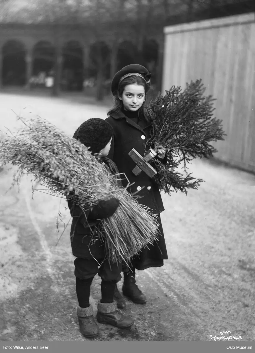 barn, gutt, fuglenek, jente, juletre, juleforberedelser