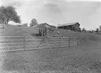 Värmland. Älvdals hd. N. Ny sn. Nedre Värnäs. Janngården. Hässja och humlegård. Foto G. Berg 1928. Etnologiska undersökningarna NORDISKA MUSEET  1001. Sp. 98 Pors och humle för brygd.