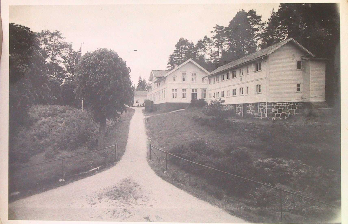 Torbjørnsbu gård, Arendal.  Vei fra forgr. opp til husene som ligger i bakken, Toetasjes bygning på høy grunnmur nærmest, hovedbygning bak. Grantrær bak.