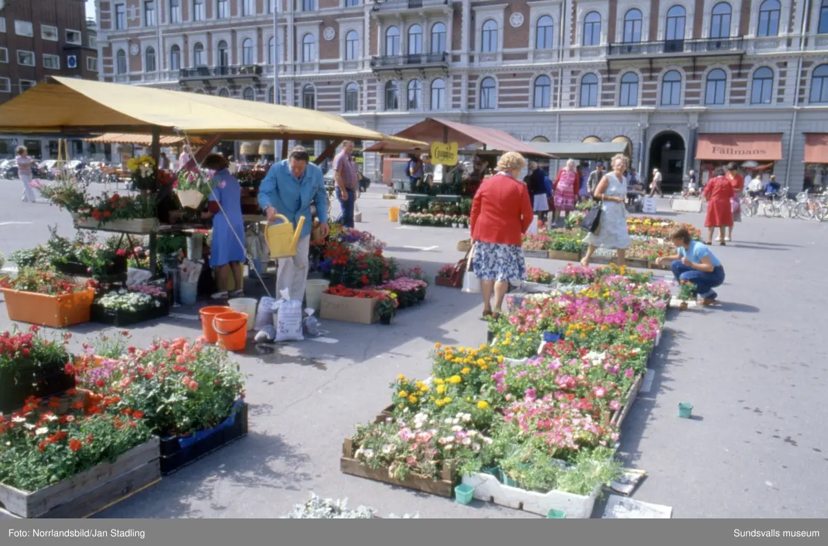 Bilder från Stenstaden med gator, trafik, torghandel och folkvimmel. Storgatan, Fisktorget, Esplanaden, Stora torget, busstationen, Folkets hus, 
Vängåvan, Puckelbron.
