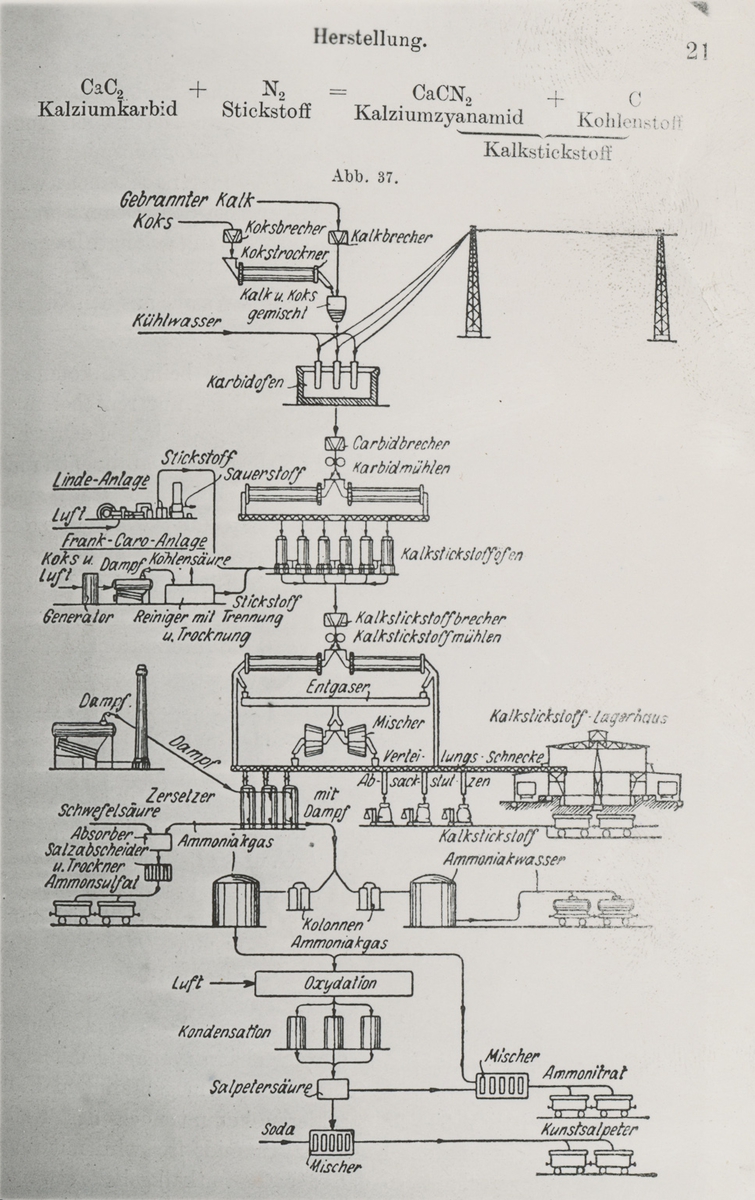 Produksjonsdiagram for cyanamid