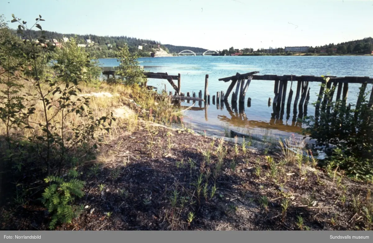 En serie bilder fotograferade ute på Sandslån i Ljungans utlopp, mitt emellan Essvik och Svartvik.