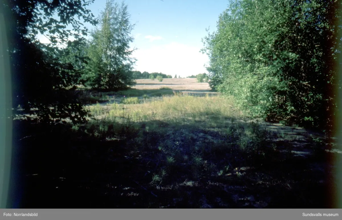 En serie bilder fotograferade ute på Sandslån i Ljungans utlopp, mitt emellan Essvik och Svartvik.