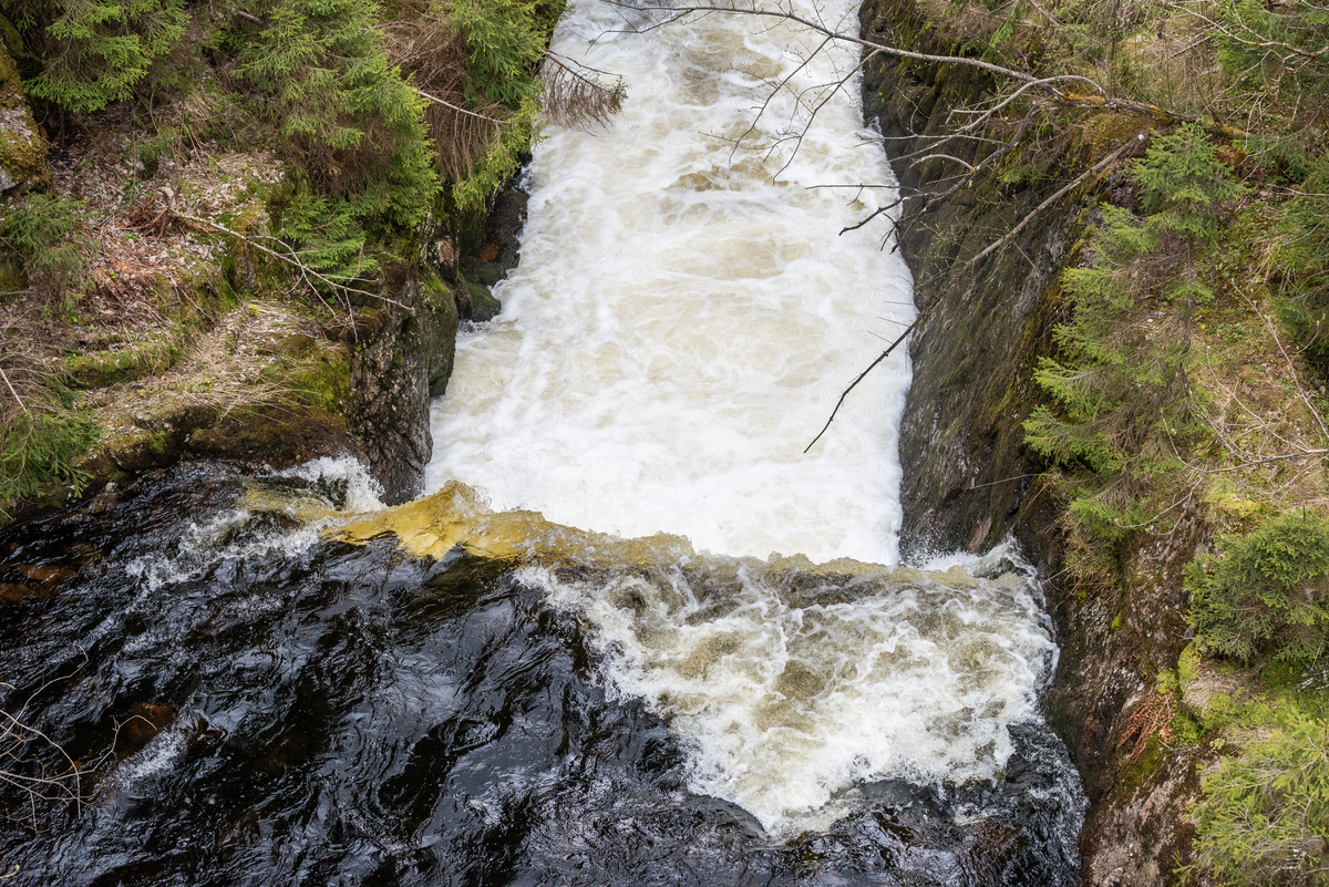 Dokumentasjon av Statnetts hengebru over Bjørnsjøelva, Nordmarka.