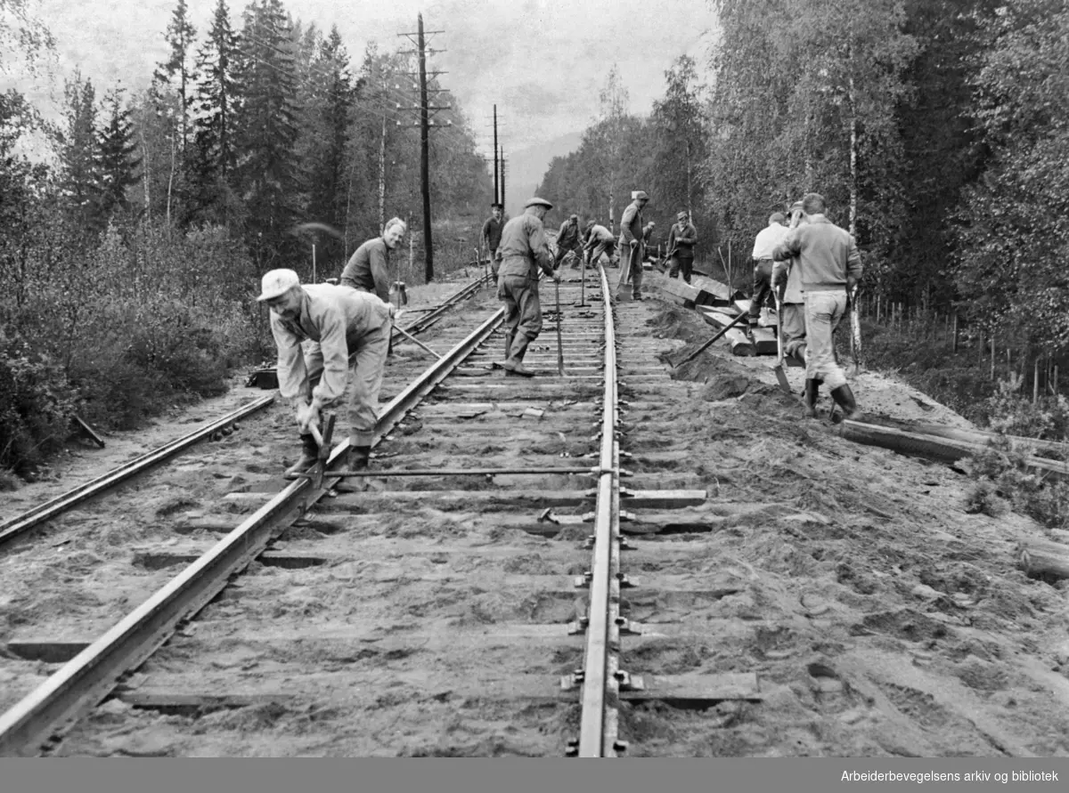 Banevedlikehold og utskifting av jernbaneskinner på Rørosbanen.