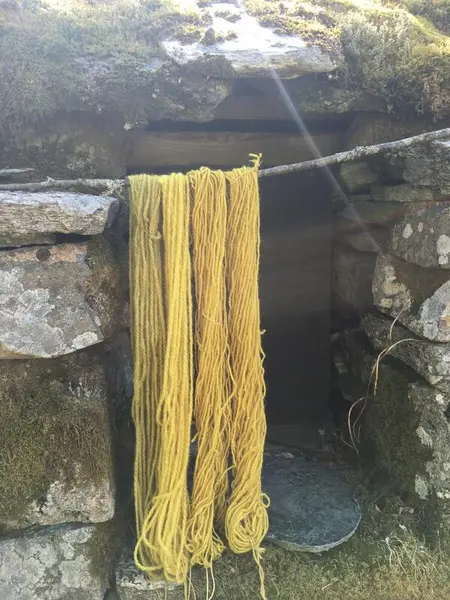 gult garn heng på pinne i sollys