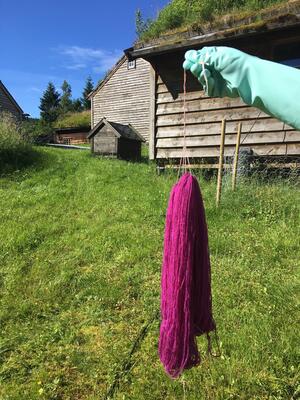 rosa garnhespe i museumstun