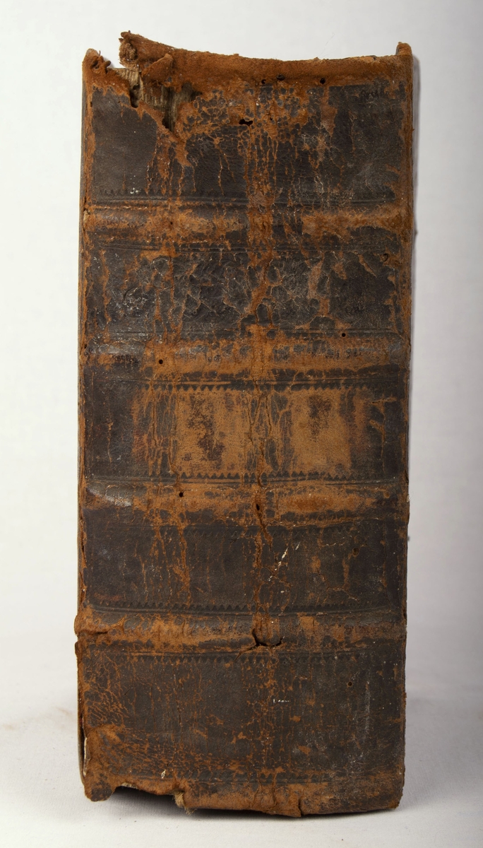 Relief, preging i skinnet (striper, tagger)