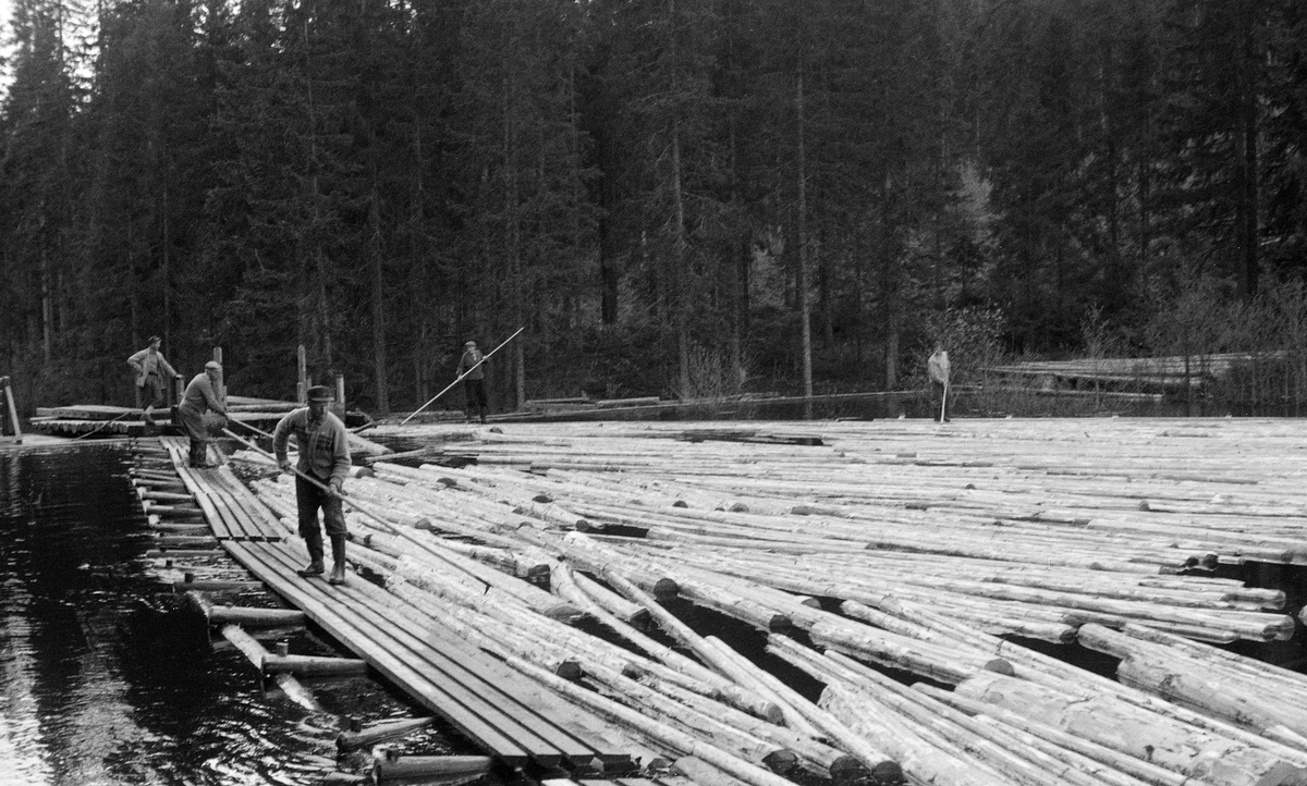 Tapping av Fjæstaddammen i Malungsvassdraget i Romedal allmenning våren 1960. Fjæstaddammen ligger ved utløpet av Fjæstadsætertjernet, hvor vannet renner i ei cirka halvannen kilometer lang å ned i Rasasjøen. Da dette fotografiet ble tatt gikk damfløterne på flåteganger eller ganglenser - flytende arbeidsplattformer som skulle lede tømmeret mot damåpningen. De hadde langskaftete fløterhaker, som ble brukt til å trekke stokkene mot damåpningen, der det sto en kar og betraktet tømmeret som fulgte vannet over i åa. I bakgrunnen sto granskogen tett.