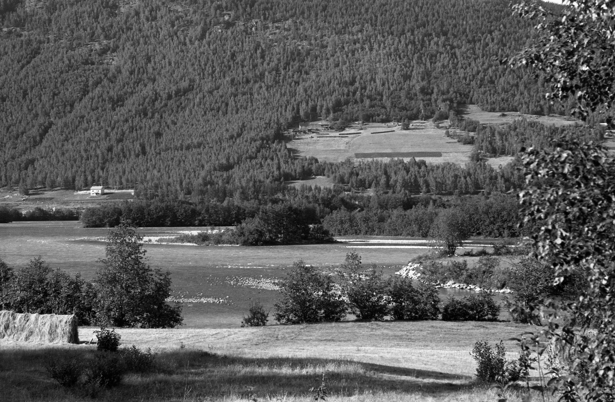 Sommeren 1959 reiste fløtingsinspektør Sven Gjessing fra Glomma fellesfløtingsforening oppover langs Gudbrandsdalslågen for å dokumentere «ører» - grunner i vassdraget der fløtingsvirket hadde lett for å sette seg fast og bli liggende når vannføringa sank utover i sesongen. Dette innebar mye arbeid for innleide mannskaper, og i en periode da arbeidslønningene steg raskere enn verdien på tømmeret ble det satset på å fjerne en del av disse ørene ved hjelp av bulldoser. Dette bildet er tatt fra Baksida, vestsida av Lågen, mot Kvamsøyene i Nord-Fron. Vi vet ikke om det, i etterkant av Gjessings reise, ble forsøkt å gjøre slike tiltak akkurat her. I forgrunnen på bildet ser vi et jorde der man hadde slått graset for å tørke det på ei hesje. På motsatt side av elva gikk daværende riksveg 50, nåværende E6.  Gardsbruket nederst i den bratte, skogkledde lia på motsatt side av vassdraget kan være Nørdre Bergum.