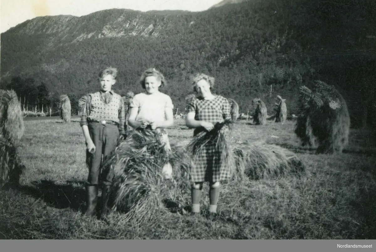 Kornbinding og staursetting i Saursfjord. Tre unge mennesker i arbeid, Solveig (Tulla) Willumsen i midten.