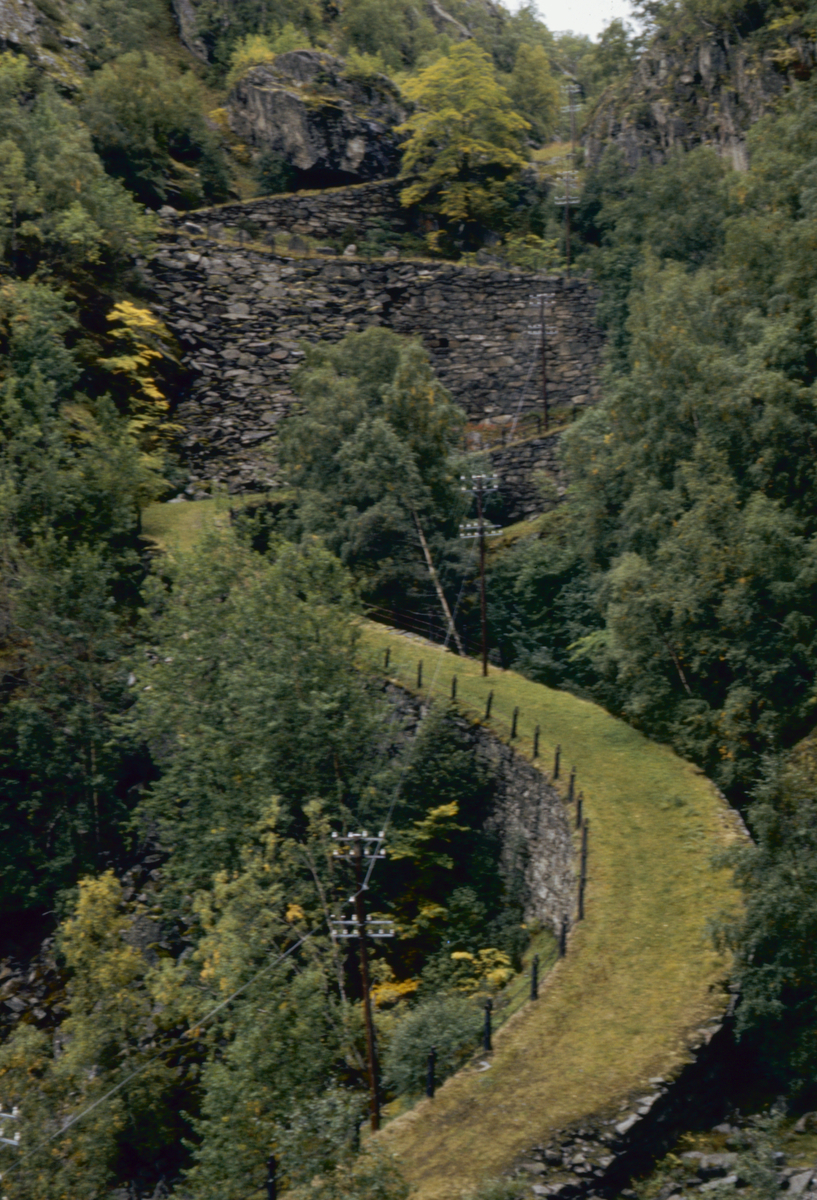 Borgund.