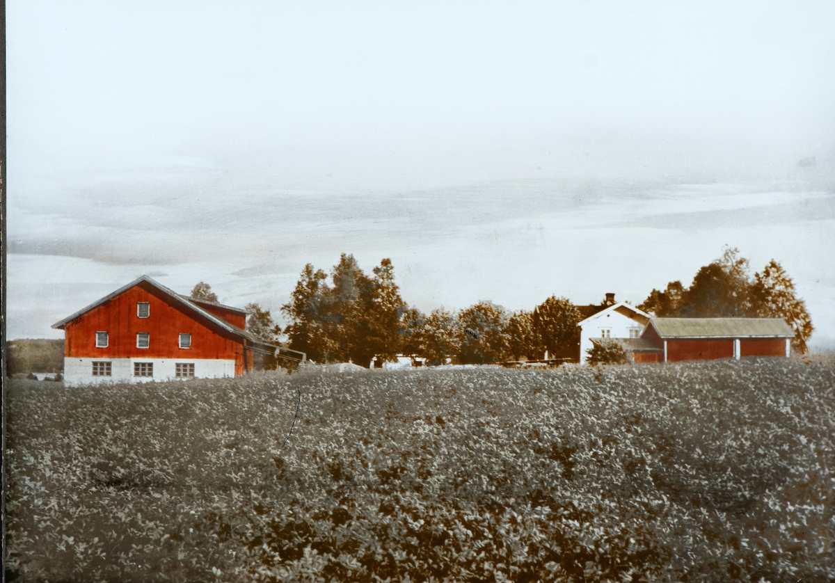 Hagen gård, gnr. 231, bnr. 1, Ilseng. Eksteriør.