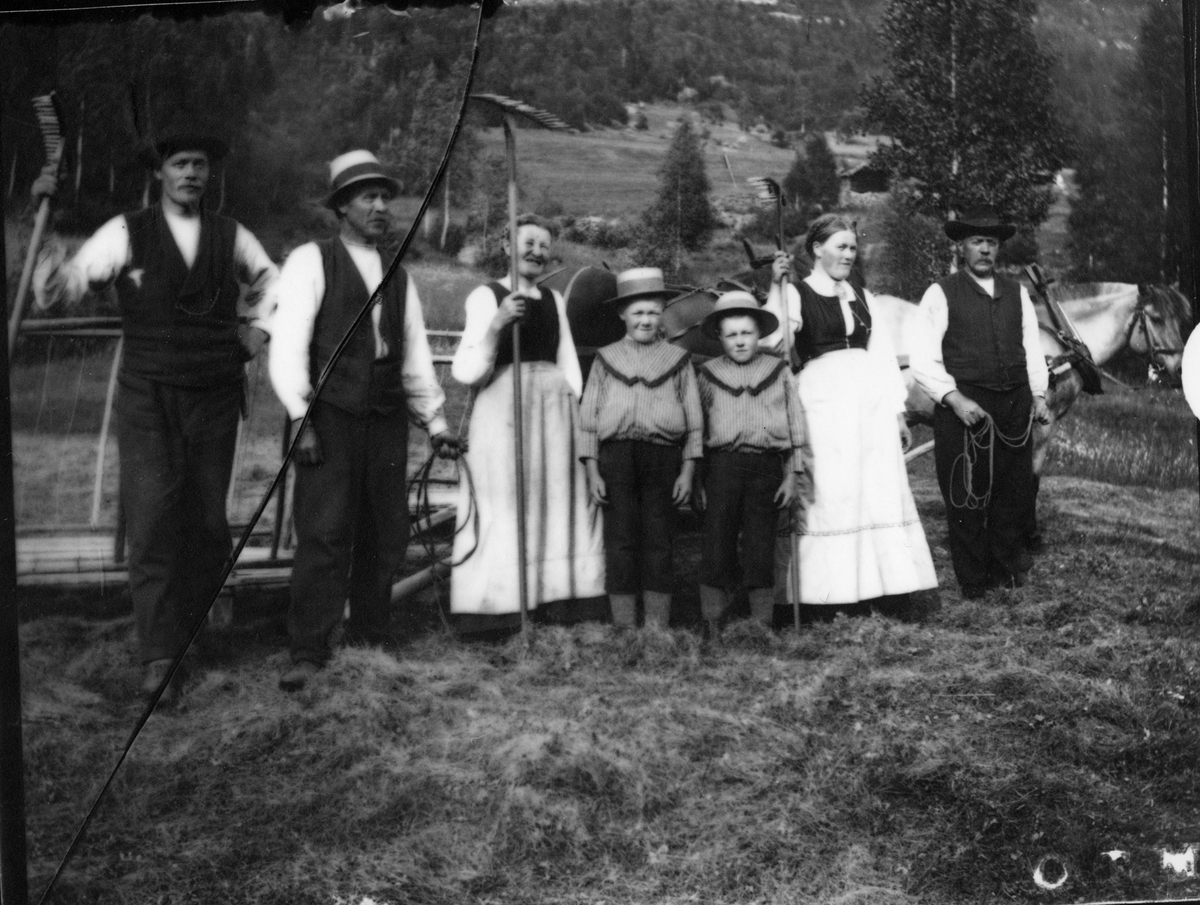 Fotosamling etter Bendik Ketilson Taraldlien (1863-1951) Fyresdal. Gårdbruker, fotograf og skogbruksmann. Fotosamlingen etter fotograf Taraldlien dokumenterer områdene Fyresdal og omegn. 
Gruppeportrett, slåttefolk.