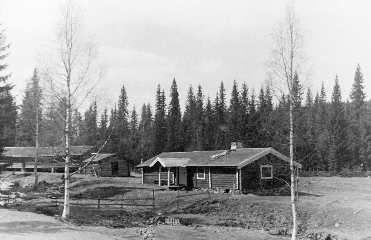 Fra Åstdalsætra i Åmot kommune i Sør-Østerdalen. Dette fotografiet ble tatt i 1942. Det er tatt på en sætervoll, ei åpen grasslette omgitt av en skigard, og på utsida av dette gjerdet sto granskogen tett. På sætervollen sto det tre hus. Nærmest fotografen ser vi et uvanlig langt og stort størhus. Det var her budeia og gjeterne bodde i sommersesongen, I denne bygningen ble mjølka ystet og her ble meieriproduktene lagret. Til venstre for størhuset lå det en mindre bygning med en åpen døråpning i gavlen. Dette kan ha vært en vedskåle. Bakenfor, helt til venstre i bildet, ser vi en lang, lav bygning, som må ha vært et fjøs. Denne bygningen er åpenbart bygd for en stor buskap. Framfor bygningene går det en bekk over sætervollen. Dette gav sannsynligvis lett tilgang på vann og gode muligheter for kjøling av mjølka..