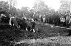 Kila hembygdsförenings årsfest på hembygdsgården den 1 juli 1934 i Kila.