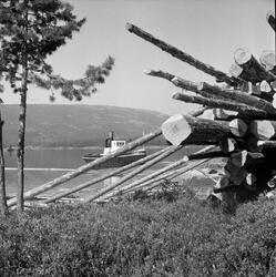 Fløterbåten Fram, Nissevann, tømmerlunne. Innsjøen Nisser, N