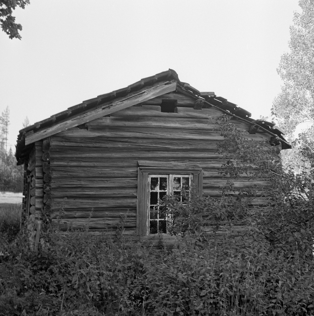 Fra husmannsplassen Djupdalen, Jevnaker, Oppland. Skogsarbeiderhjem.