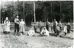 Vittinge sn, Heby kn, Skattmansö.
Arbete med omskolning av plantor i Rabo, 1914.