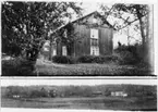 Dalskog