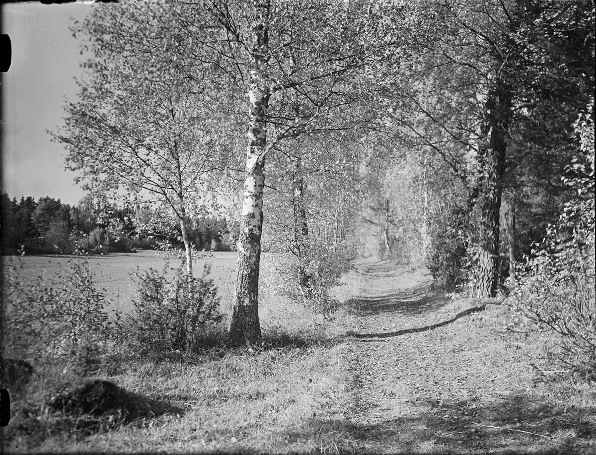 Landskapsvy, Östhammar Uppland