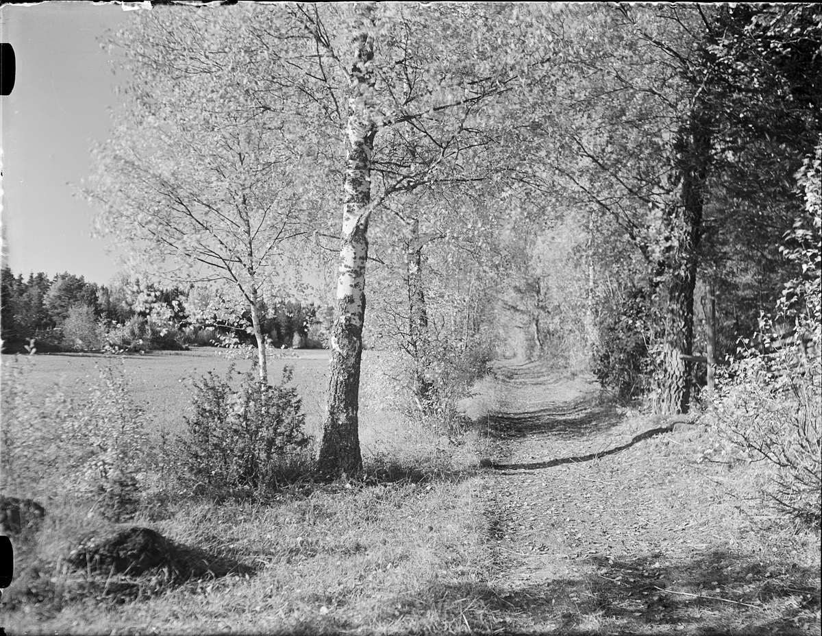 Landskapsvy, Östhammar Uppland