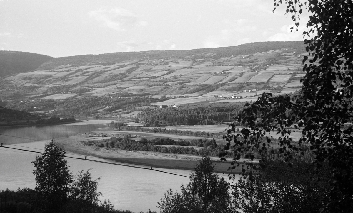 Bilde 1:
Landskapsbilde fra Sør-Fron i Gudbrandsdalen. Bildet er tatt fra Baksidevegen, nord for garden Isum, sør for Muriteigen. I forgrunnen ser vi en stilleflytende del av elva Lågen, med Langøya. Til venstre i bildet ser vi Ulbergshaugen. Ellers ser vi mot solsida, lia på østsida av dalføret, der gardene ligger omgitt av dyrket mark, avbrutt av det djupe dalføret med elva Augla. Fotografiet er tatt av en av funksjonærene i Glomma fellesfløtingsforening.  For aktørene i fløtinga representerte Langøya med omliggende sandbanker et hinder, de tømmeret lett kunne strande. Elvestrekningen fra Harpefoss, et par kilometer nordenfor det stedet der dette fotografiet er tatt, og ned til Tretten, var stilleflytende, farbart med båt og forholdsvis lett fløtbart.

Bilde 2:
Gudbrandsdalslågen og Solsida i Sør-Fron kommune i Oppland, sett fra Baksidevegen i nærheten av småbruket Muriteigen. Her renner Lågen stille forbi Langøya, en delvis krattbevokst sandbanke, der fløtingstømmeret antakelig hadde lett for å strande. Den sørvestvendte lia på den andre sida av elva var stort sett oppdyrket. Strimer av krattskog mellom åkrene markerer eiendomsgrenser. Helt til venstre i bildet skimter vi mot et skar der elva Augla rant ned mot Lågen. Dette fotografiet ble tatt sommeren 1959.

Bilde 3:
Solsida i Sør-Fron i Gudbrandsdalen, sett fra en posisjon på vestsida av Lågen. I forgrunnen – som da bildet ble tatt lå i skyggen – var det et engareal, som endte ved krattskogen mot elveløpet. På motsatt side av vassdraget lå det et par gardsbruk, men ellers var det relativt flate lendet mot elva stort sett skogkledd. Ellers ser vi Sør-Fron kirke, men kommunesenteret Hundorp er stort sett skjult bak skog. I den vestvendte lia ovenfor er det jordbruket som preger landskapet, med striper av buskvegetasjon på eiendomsgrensene mellom åkerflatene. Øverst i lia, 6-700 meter over havet, overta skogen. 

Bilde 4:
Landskapsfotografi fra Sør-Fron i Gudbrandsdalen. Bildet ser ut til å være tatt fra vestsida av Lågen – fra Baksida – der engarealet framfor fotografen lå i skyggen av Ulbergshaugen. På motsatt side av det stilleflytende elveløpet ser vi over mot Odenvollen og Hovevollan, ei flat elveslette der gardbrukerne på ovenforliggende eiendommer dyrket vinterhøy som ble lagret i løer i påvente av sledeføret. Nederst i lia til venstre i bildet, langs jernbanetraséen, vokste det skog. I venstre halvdel av bildet skimter vi Hundorpbrua. Bak den ser vi mot Kjønnås i Ringebu kommune. Grenda som lligger delvis skjult bak en del greiner til høyre på bildet kalles Nørdre Lia. Dette fotografiet ble tatt i 1959.