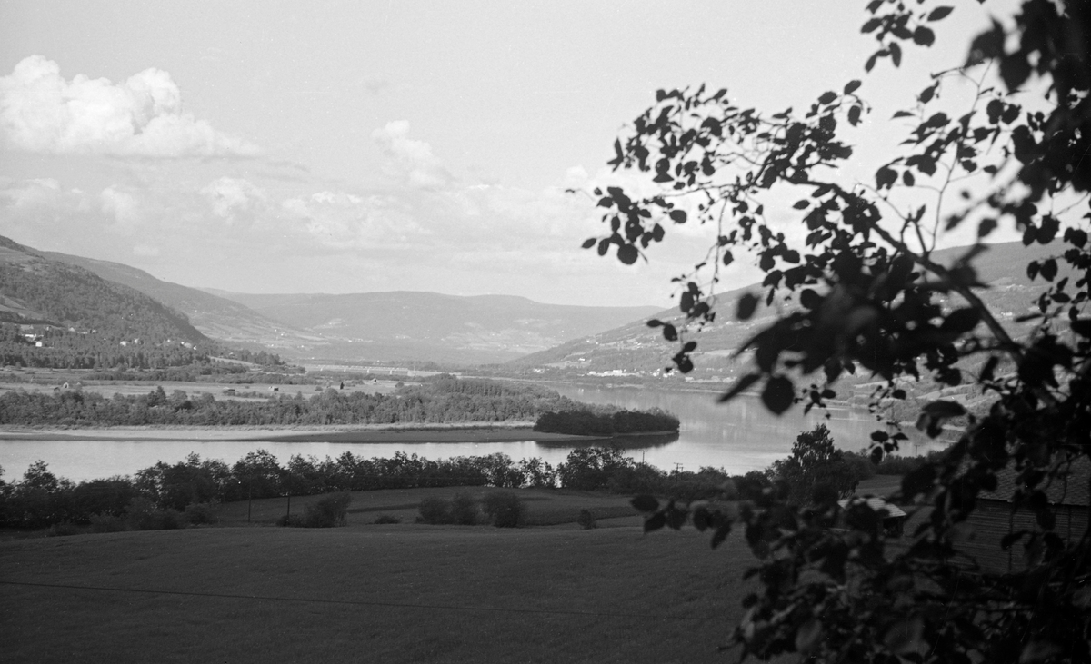 Bilde 1:
Landskapsbilde fra Sør-Fron i Gudbrandsdalen. Bildet er tatt fra Baksidevegen, nord for garden Isum, sør for Muriteigen. I forgrunnen ser vi en stilleflytende del av elva Lågen, med Langøya. Til venstre i bildet ser vi Ulbergshaugen. Ellers ser vi mot solsida, lia på østsida av dalføret, der gardene ligger omgitt av dyrket mark, avbrutt av det djupe dalføret med elva Augla. Fotografiet er tatt av en av funksjonærene i Glomma fellesfløtingsforening.  For aktørene i fløtinga representerte Langøya med omliggende sandbanker et hinder, de tømmeret lett kunne strande. Elvestrekningen fra Harpefoss, et par kilometer nordenfor det stedet der dette fotografiet er tatt, og ned til Tretten, var stilleflytende, farbart med båt og forholdsvis lett fløtbart.

Bilde 2:
Gudbrandsdalslågen og Solsida i Sør-Fron kommune i Oppland, sett fra Baksidevegen i nærheten av småbruket Muriteigen. Her renner Lågen stille forbi Langøya, en delvis krattbevokst sandbanke, der fløtingstømmeret antakelig hadde lett for å strande. Den sørvestvendte lia på den andre sida av elva var stort sett oppdyrket. Strimer av krattskog mellom åkrene markerer eiendomsgrenser. Helt til venstre i bildet skimter vi mot et skar der elva Augla rant ned mot Lågen. Dette fotografiet ble tatt sommeren 1959.

Bilde 3:
Solsida i Sør-Fron i Gudbrandsdalen, sett fra en posisjon på vestsida av Lågen. I forgrunnen – som da bildet ble tatt lå i skyggen – var det et engareal, som endte ved krattskogen mot elveløpet. På motsatt side av vassdraget lå det et par gardsbruk, men ellers var det relativt flate lendet mot elva stort sett skogkledd. Ellers ser vi Sør-Fron kirke, men kommunesenteret Hundorp er stort sett skjult bak skog. I den vestvendte lia ovenfor er det jordbruket som preger landskapet, med striper av buskvegetasjon på eiendomsgrensene mellom åkerflatene. Øverst i lia, 6-700 meter over havet, overta skogen. 

Bilde 4:
Landskapsfotografi fra Sør-Fron i Gudbrandsdalen. Bildet ser ut til å være tatt fra vestsida av Lågen – fra Baksida – der engarealet framfor fotografen lå i skyggen av Ulbergshaugen. På motsatt side av det stilleflytende elveløpet ser vi over mot Odenvollen og Hovevollan, ei flat elveslette der gardbrukerne på ovenforliggende eiendommer dyrket vinterhøy som ble lagret i løer i påvente av sledeføret. Nederst i lia til venstre i bildet, langs jernbanetraséen, vokste det skog. I venstre halvdel av bildet skimter vi Hundorpbrua. Bak den ser vi mot Kjønnås i Ringebu kommune. Grenda som lligger delvis skjult bak en del greiner til høyre på bildet kalles Nørdre Lia. Dette fotografiet ble tatt i 1959.