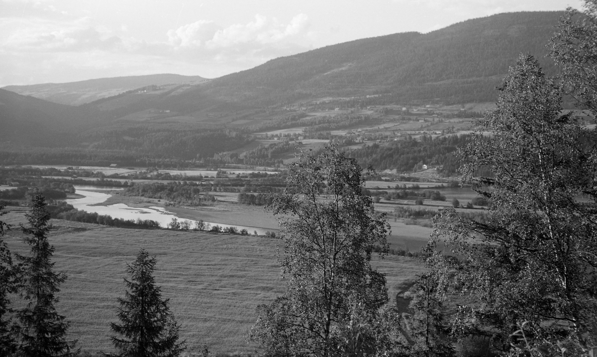 Landskapsbilde fra Gudbrandsdalen. Opptaket ble gjort sommeren 1959, på tvers av dalføret, antakelig fra ei forholdvis bratt li i Kjønnås i Ringebu kommune ned mot den flate elvesletta der Lågen delte seg omkring Risøya og med «baksida», vestsida av dalføret i bakgrunnen. Der skimter vi en del garder med innmark nederst i lia, mens åskammene ovenfor var skogkledde.