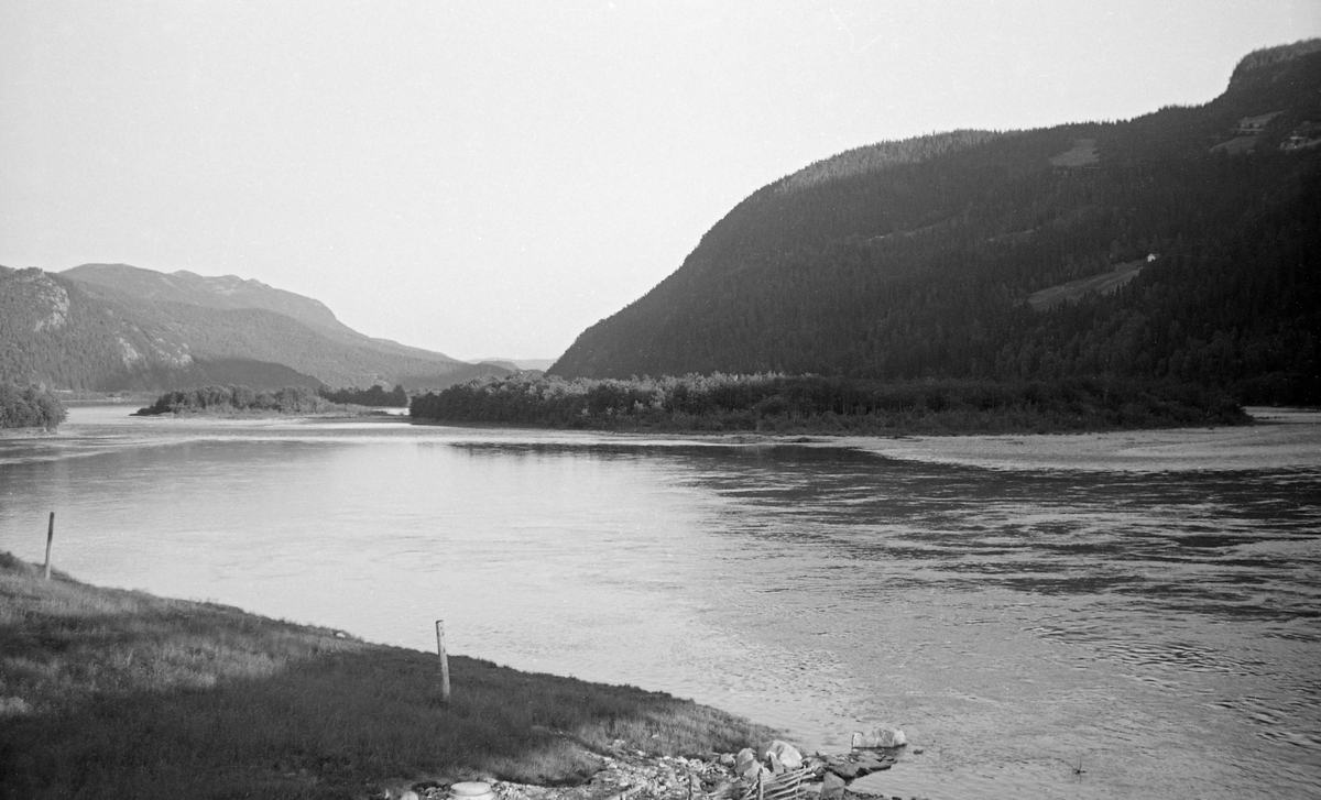 Elvelandskap i Ringebu i Gudbrandsdalen. Fotografiet ble tatt i medstrøms retning fra en posisjon ved Rankleivbruas østre brukar, altså sørover. Her renner Lågen forholdsvis stilleflytende rundt Gåsøya (nærmest) og Olstadøya. Mens elva her er vid, stilleflytende og fyller mesteparten av den flate dalbotnen, er liene på begge sider bratte og skogbevokste der det var jordsmonn nok til at det kunne vokse trær. Fotografen, som var funksjonær i Glomma fellesfløtingsforening, var opptatt av landskapselementer som vanskeliggjorde framdriften av tømmeret. Her gjaldt det nok særlig sandbankene elva hadde lagt igjen, der tømmerstokkene hadde lett for å strande og filtre seg sammen når vannstanden var synkende.