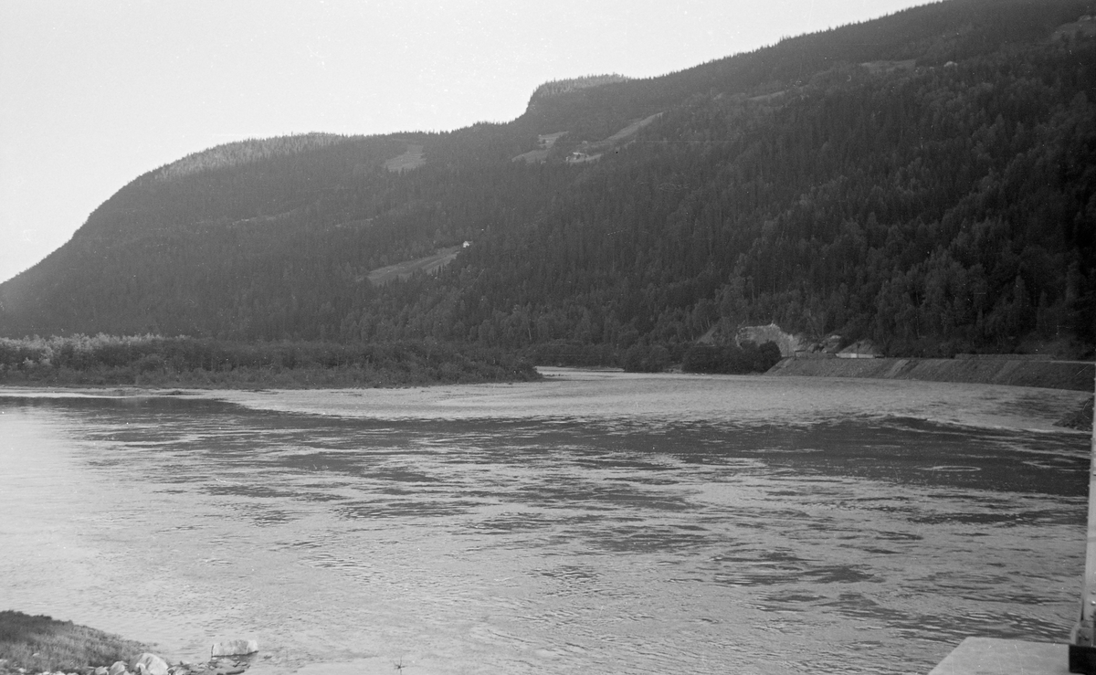 Elvelandskap i Ringebu i Gudbrandsdalen. Fotografiet ble tatt i medstrøms retning fra en posisjon ved Rankleivbruas østre brukar, altså sørover. Her renner Lågen forholdsvis stilleflytende rundt Gåsøya (nærmest) og Olstadøya. Mens elva her er vid, stilleflytende og fyller mesteparten av den flate dalbotnen, er liene på begge sider bratte og skogbevokste der det var jordsmonn nok til at det kunne vokse trær. Fotografen, som var funksjonær i Glomma fellesfløtingsforening, var opptatt av landskapselementer som vanskeliggjorde framdriften av tømmeret. Her gjaldt det nok særlig sandbankene elva hadde lagt igjen, der tømmerstokkene hadde lett for å strande og filtre seg sammen når vannstanden var synkende.