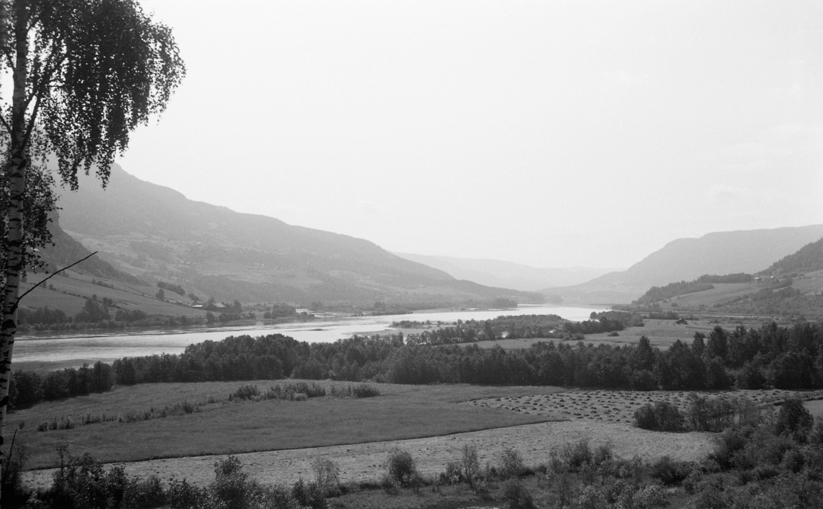 Landskapsbilde fra Ringebu. nærmere bestemt Fåvang, i Gudbrandsdalen. tatt sommeren 1959. Fotografen har stanset på riksveg 50 (tidligere Kongevegen, seinere E6) og tatt bildet med kameraet vendt nordover, med tanke på Gudbrandsdalslågen, som, flyter stille og bred på dalbotnen, i motstrøms retning. Langsmed vassdraget, og langs bekker som rant inn i Lågen, vokste det lauvskog. Ellers var landskapet i dalbotnen preget av jordbruksproduksjon. Høyere oppe liene skimter vi mer skog. Det som opptok fotografen som tok dette bildet, som var fløtingsinspektør, var sandbankene Linnviksand og Løysnessand, som hindret tømmerets frie flyt nedover dalen.