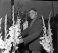 Karl Lööf står i odling med gladiolus.