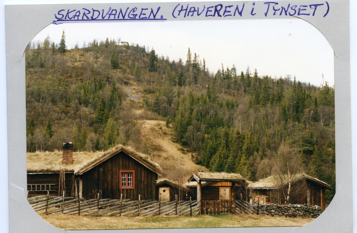 Skardvangen,Haveren.
