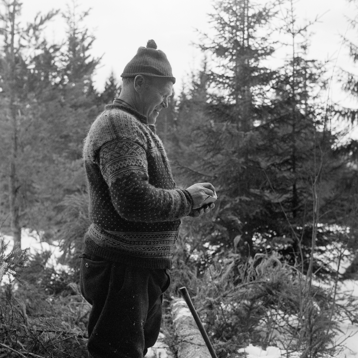 Skogsarbeider Helge Brenden fra Hernes i Elverum, fotografert under tømmerhogst i Stavåsen vinteren 1971. Da dette fotografiet ble tatt hadde Helge felt ei gran, som han hadde kvistet, i hvert fall på den sida som ble liggende oppovervendt etter at treet falt. Så tok han «skanten», målestaven han hadde lagd seg av ei tynn, undertrykt gran, og la den langsmed stammen på treet for måle seg fram til hvor det var høvelig å kappe stokken. Dette ble gjort med utgangspunkt i kunnskap om hvilke lengder det svarte seg å levere, enten stokkene skulle til selges til sagbruk eller treforedlingsbedrifter. Deretter registrerte Helge stokkene ved å «stikke» dem på den rubrikkinndelte trestikka han hadde i hendene da dette fotografiet ble tatt. Notatene ble seinere utgangspunkt for Helges mellomregnskap med den skogeieren som var oppdragsgiver under denne drifta. Framfor Beina til Helge ser vi skaftet på øksa, som han hadde brukt til å lage et bless i barken der trestammen skulle kappes. Også en skyveklave inngikk i utrustningen for denne arbeidsoperasjonen. Klaven ble brukt til å sjekke diametermål, noe som var var viktig ved vurderinga av hvilke deler av den lange trestammen som kunne gå som godt betalt skurvirke og hvilke som måtte bli til noe lavere priset slipvirke. Disse to sortimentene hadde hver sine normer for «aptering» - ulike lengdestandarder.

Helge Brenden arbeidet i vadmelsbukser og strikkejakke med setesdalsmønster. Under denne hadde han ei rutete flanellskjorte. På hodet hadde skogsarbeideren ei ensfarget topplue.