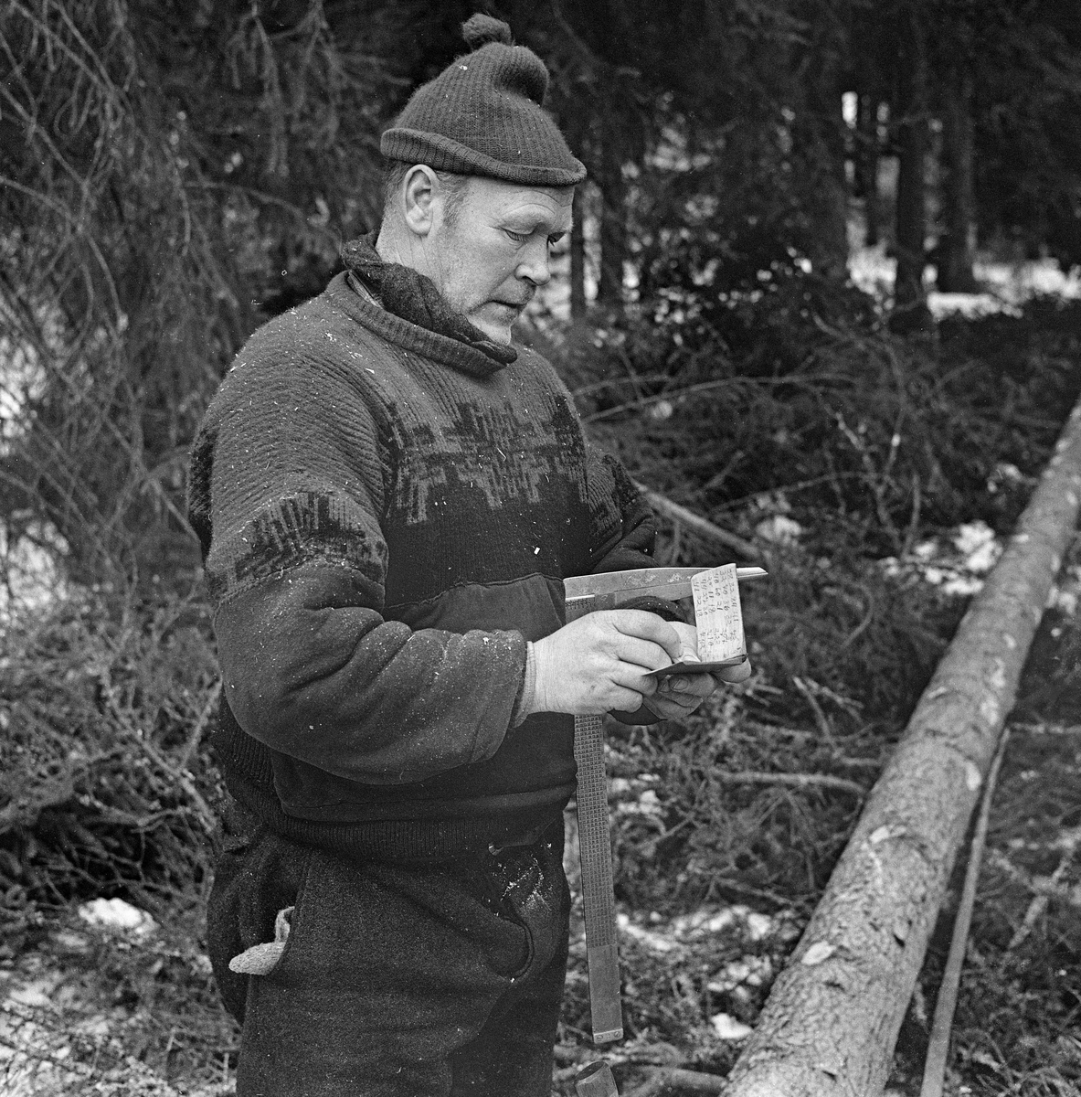 Skogsarbeider Helge Brenden fra Hernes i Elverum, fotografert under tømmerhogst i Stavåsen vinteren 1971. Da dette fotografiet ble tatt hadde Helge felt ei gran, som han hadde kvistet, i hvert fall på den sida som ble liggende oppovervendt etter at treet falt. Så tok han «skanten», målestaven han hadde lagd seg av ei tynn, undertrykt gran, og la den langsmed stammen på treet for måle seg fram til hvor det var høvelig å kappe. Dette ble gjort med utgangspunkt i kunnskap om hvilke lengder det svarte seg å levere, enten stokkene skulle til selges til sagbruk eller treforedlingsbedrifter. Her ser vi skanten i baret til høyre for trestammen. Da dette fotografiet ble tatt registrerte Helge stokkene ved å «stikke» dem på ei rubrikkinndelt trestikke. Disse notatene ble seinere utgangspunkt for mellomregnskapet hans med den skogeieren som var oppdragsgiver under denne drifta. Over albuen holdt Helge en skyveklave som han hadde brukt til å måle stammediameteren. Den var viktig ved vurderinga av hvilke deler av den lange trestammen som kunne gå som godt betalt skurvirke og hvilke som måtte bli til noe lavere priset slipvirke. Disse to sortimentene hadde hver sine normer for «aptering» - lengdestandarder.

Helge Brenden arbeidet i vadmelsbukser og ullgenser. Skogsarbeideren hadde et skjerf rundt halsen og ei ensfarget topplue på hodet.